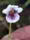Gallery Item 6